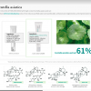 Dermaline PDX exosome cream Dermaline PDX exosome cream