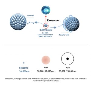 Dermaline Exosome